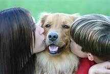 dog getting kisses